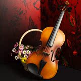 贝/Ebel小提琴E01儿童成人初学者手工考级高档乐器全套配件正品艺