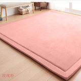日式加厚珊瑚绒地毯地垫卧室客厅榻榻米飘窗床边大满铺宝宝爬行垫