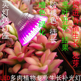 LED植物生长灯补光灯 多肉植物 花卉红蓝光合作用灯 大棚室内植物