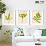 蕨类植物装饰画个性树叶挂画书房创意壁画沙发背景墙餐厅时尚墙画