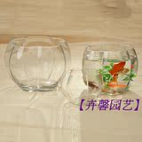 【卉馨园艺】玻璃瓶小南瓜 水培植物种植盆透明花盆器皿桌面摆件