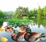 仿真鸳鸯绿头鸭浮水摆件池塘鱼缸喷泉装饰品个性礼物花园别墅摆设
