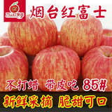 【万山红果园】山东烟台新鲜水果栖霞红富士苹果85#礼盒八省包邮