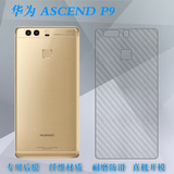 华为Ascend P9手机背面膜 专用后壳膜 P9保护后盖膜 后贴膜 背膜
