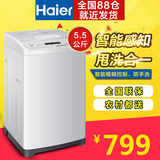 Haier/海尔 XQB55-M1268 关爱 洗衣机全自动 波轮 5.5公斤 家用