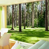 特价定制大型壁画墙纸 客厅沙发卧室餐厅背景墙风景壁纸 阳光森林