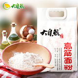 大自然高筋面粉 馒头包子饺子花卷面粉 通用小麦粉白面粉2.5KG