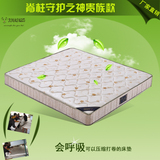 新款天然乳胶床垫 真空压缩卷包床垫 1.5 1.8米双人 席梦思床垫