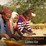 非洲 埃塞俄比亚 水洗 利姆LIMU G-2 精品咖啡生豆 1Kg