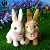 兔子 毛绒玩具 大眼睛兔子 公仔 小白兔 兔兔 仿真动物 野兔 可爱