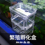 自浮式幼鱼苗隔离盒孔雀鱼繁殖盒孵化盒鱼缸双层亚克力斗鱼盒大号