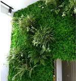 仿真什锦草坪塑料草皮假叶子米兰带花 幼儿园阳台装饰植物背景墙