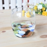 鹅蛋水培玻璃花瓶 透明宜家风格 小水培器皿 水培瓶插花 送定植篮