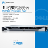 戴尔/Dell PowerEdge R320 机架式服务器至强E5-2403V2 4GB 500G
