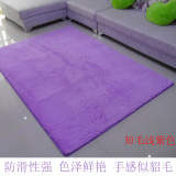 浅紫特价进口丝毛地毯卧室客厅茶几床边卫浴防滑地垫门垫满铺定制