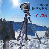 云腾880三脚架专业摄像佳能6D 5D3尼康D810 D750单反照相机大支架