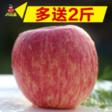 太阳果 陕州高山原生态红富士野生大苹果送2斤共10斤新鲜水果批发