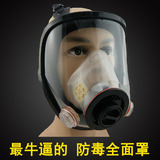 防毒防尘面具 化工喷漆专用全面罩 防有机气体粉尘活性炭3M口罩