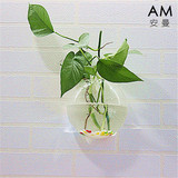 安曼悬挂式墙壁创意壁挂花瓶多用途透明玻璃水培花瓶花盆馒头花瓶