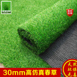 大森林草坪超嫩30mm仿真人造草坪人工假草皮塑料地毯人工草坪仿真
