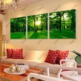 9水晶壁画墙画 绿色大树装饰画 客厅无框画三联画阳光森林风景画