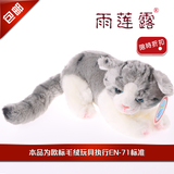 【雨莲露】毛绒玩具猫咪公仔 仿真西伯利亚猫 儿童生日礼物 包邮