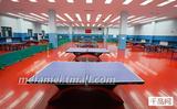 室内加厚羽毛球乒乓球运动场地馆地板胶PVC塑胶健身房脚工程地毯