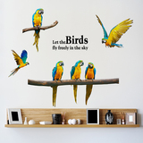 金刚鹦鹉墙贴个性创意小鸟卧室客厅玄关走廊动物贴画贴纸沙发背景