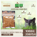 易种植有机猫草种子 猫薄荷 助消化猫草 猫零食化毛吐毛球 30g/包