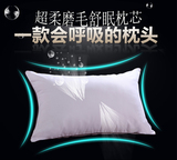 【天天特价】五星级酒店专用枕头枕芯一对拍2件羽丝绒护颈软枕