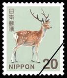 日本信销邮票 新面值普票 普通邮票 樱花编号 706