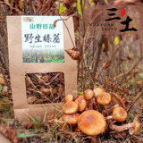 雪源三土东北特产野生榛蘑菇干货蘑菇头小鸡炖蘑菇精选无根500克