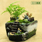 苔藓微景观龙猫摆件办公室盆栽绿植物生态瓶创意diy多肉花盆陶瓷