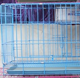 304不锈钢狗笼定做 钢化玻璃展示笼 宠物店寄养笼 灯光展示笼