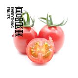 【宜品良果】海南千禧番茄 小西红柿 红圣女果 新鲜水果750g