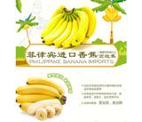 菲律宾香蕉 5根装 香蕉 进口水果 新鲜