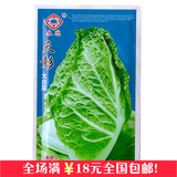 蔬菜种子彩袋四川特产天彭大白菜种子5克上千粒四季易种高产高收