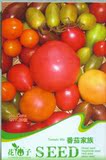 阳台蔬菜春播番茄种子 圣女果 水果 盆栽 有机蔬果菜种番茄家族