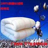 AAA新疆长绒棉被加厚保暖冬被盖被垫被春秋纯棉被芯褥子新疆棉花
