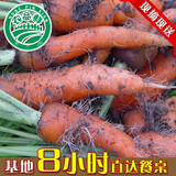 上海有机新鲜胡萝卜农家自种现采现送纯天然蔬菜非转基因同城配送