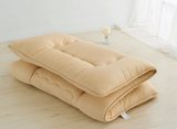学生床垫 加厚素色立体珊瑚绒单人垫被宿舍床褥子0.9米 1米宽特价