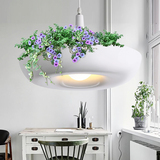 北欧后现代餐厅植物吊灯简约宜家盆栽灯具咖啡厅植物创意个性灯饰