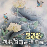 中国风荷花高清图库 古风花鸟国画装饰图片绘画临摹设计素材410