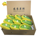 【农誉】厦门大青芒10斤精选礼盒6~8个装大果越南进口新鲜大芒果