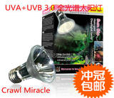 包邮宠物陆水乌龟晒背保温加热灯全光谱UVA+UVB3.0紫外太阳灯50w