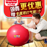 费雪宝宝健身球瑜伽训练球加厚防爆锻炼55cm-65cm儿童健身娱乐球