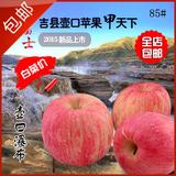 原生态有机新鲜吉县壶口红富士苹果15个85以上实惠装包邮