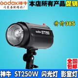 神牛st250影室闪光灯 单灯 250W摄影灯拍照灯照相灯 摄影器材设备