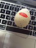 具惊喜蛋鸡蛋 可孵化恐龙蛋水孵膨胀出奇蛋日本正品代购创意玩