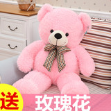 正品泰迪熊毛绒玩具粉色布娃娃超大号熊猫抱抱熊公仔女孩生日礼物